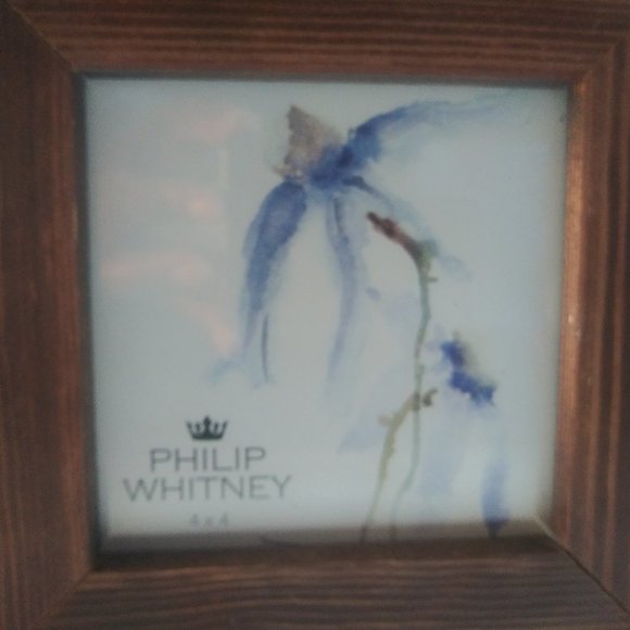 Philip Whitney Wood Blue Edge photo frame 4x4 - Picture 1 of 3